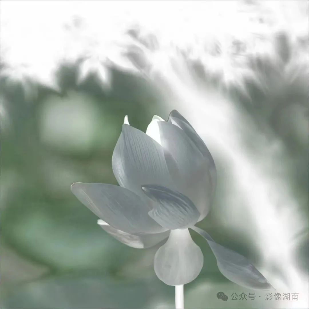 DƬ